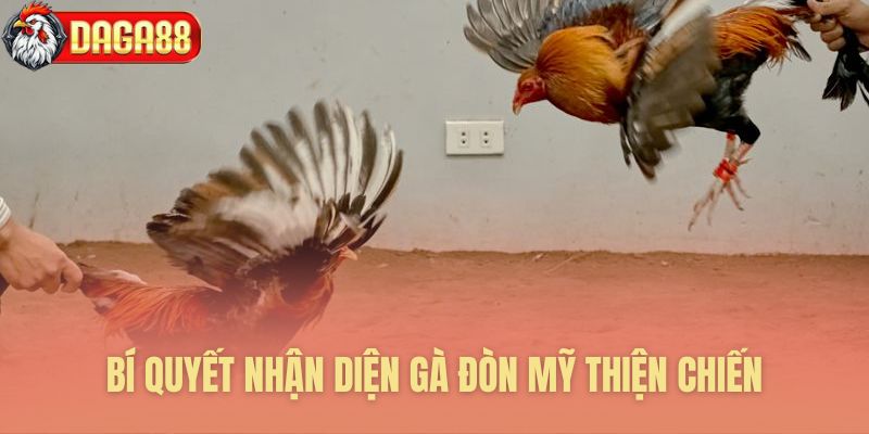 Phương pháp đánh giá chiến kê chuẩn xác