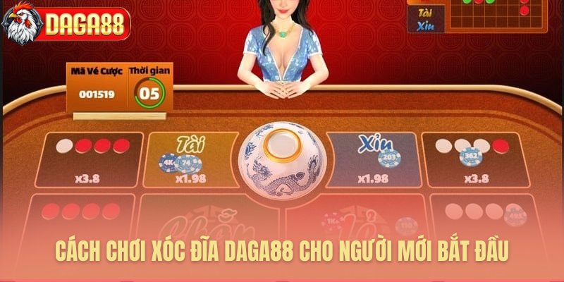 Cách chơi xóc đĩa Daga88 toàn diện cho người mới