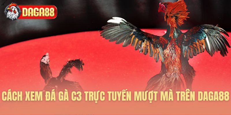 Hướng dẫn theo dõi trận đấu C3 trực tiếp
