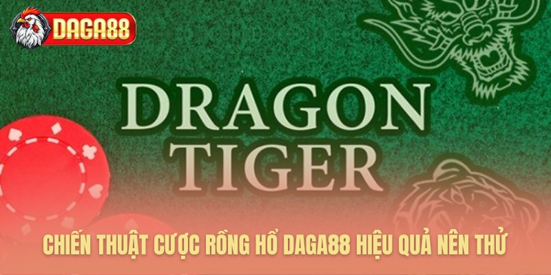 Ba phương pháp cược Rồng Hổ hiệu quả