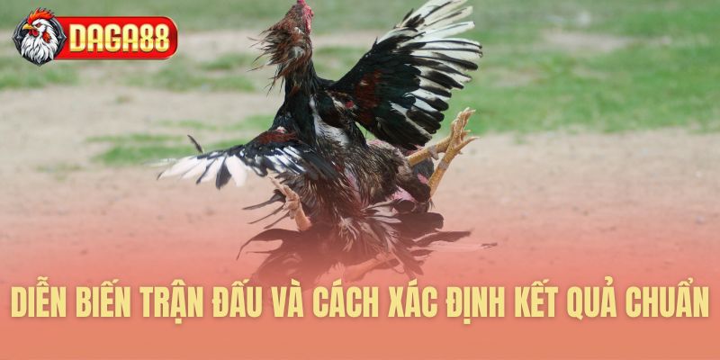Xác định kết quả trận đấu chính xác