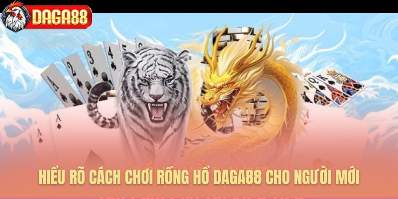 Cách chơi Rồng Hổ Daga88 cho người mới bắt đầu