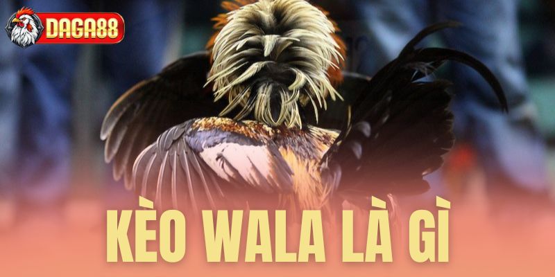 Giải mã chi tiết về cửa cược Wala