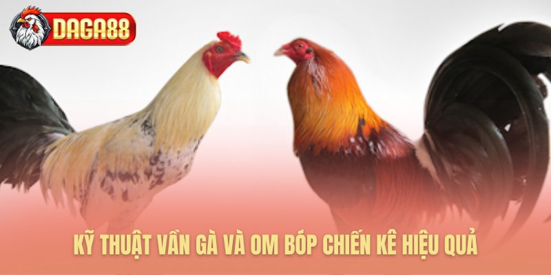 Quy trình huấn luyện chăm sóc chuyên sâu