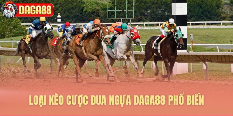 Tổng hợp các hình thức cược hay gặp