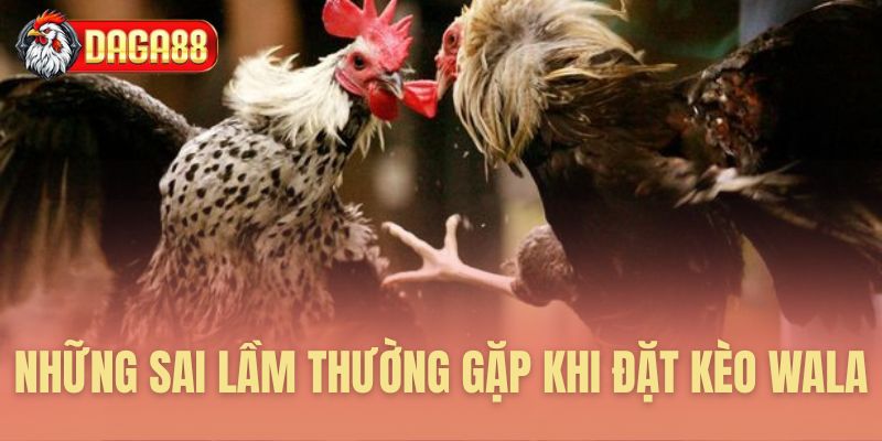 Những cạm bẫy cần tránh khi cược Wala