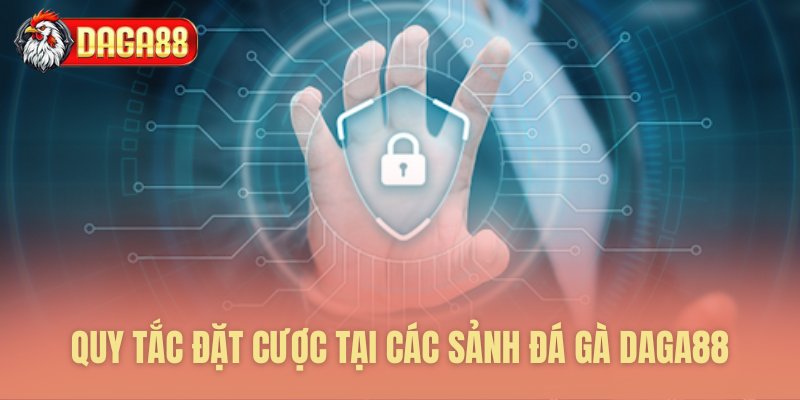 Nguyên tắc công nhận vé cược đá gà Nguyên tắc công nhận vé cược đá gà