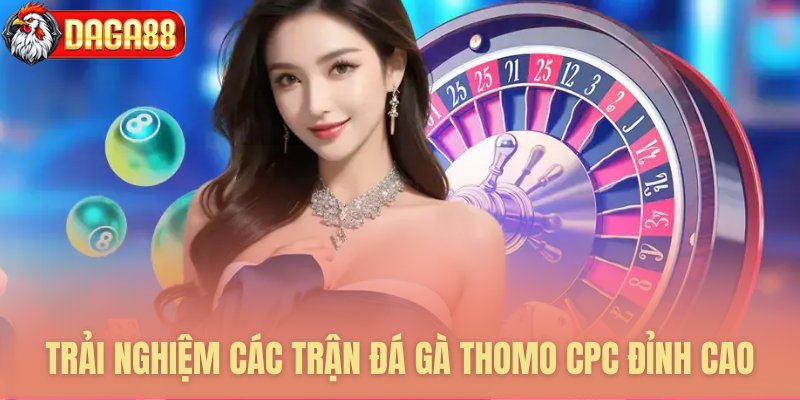 Trải nghiệm các trận đá gà Thomo CPC đỉnh cao tại nhà cái Daga88