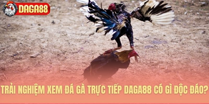 Những ưu điểm độc quyền tại Daga88