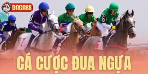 ca cuoc dua ngua daga88