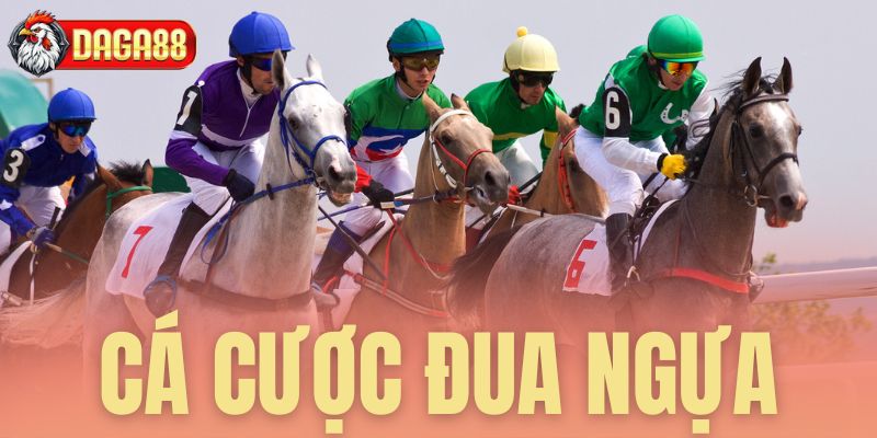 ca cuoc dua ngua daga88