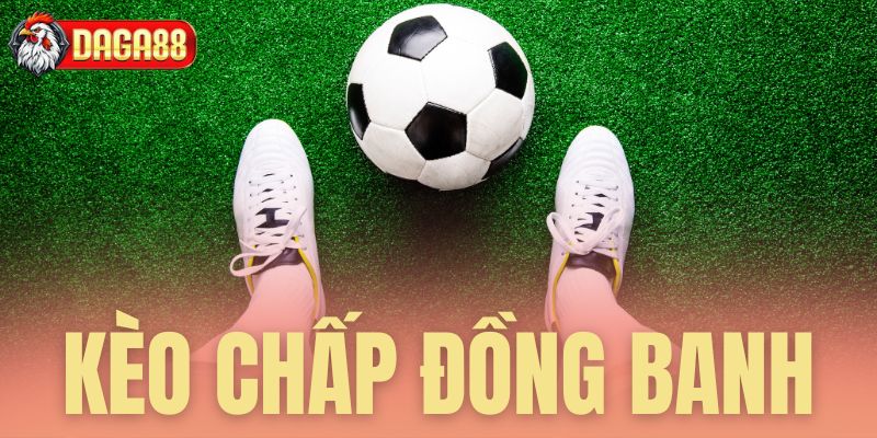 Kèo chấp đồng banh Daga88 - Đẳng cấp thống trị kèo 0