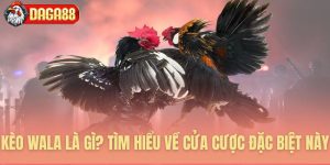 Kèo wala là gì - Cửa cược độc đáo mở ra vận may bất ngờ